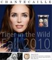 Chantecaille Tiger in the Wild Palette