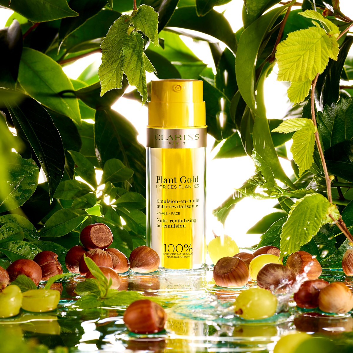 Clarins Plant Gold L'Or Des Plantes | News | BeautyAlmanac