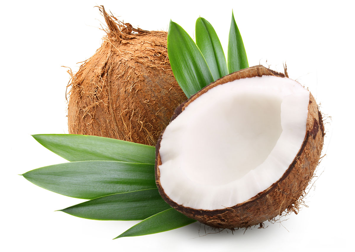 coconut