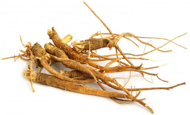 Korean-Red-Ginseng