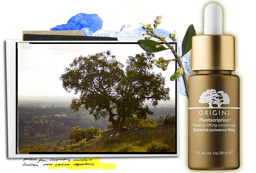 Origins-Plantscription-Powerful-Lifting-Concentrate-visual