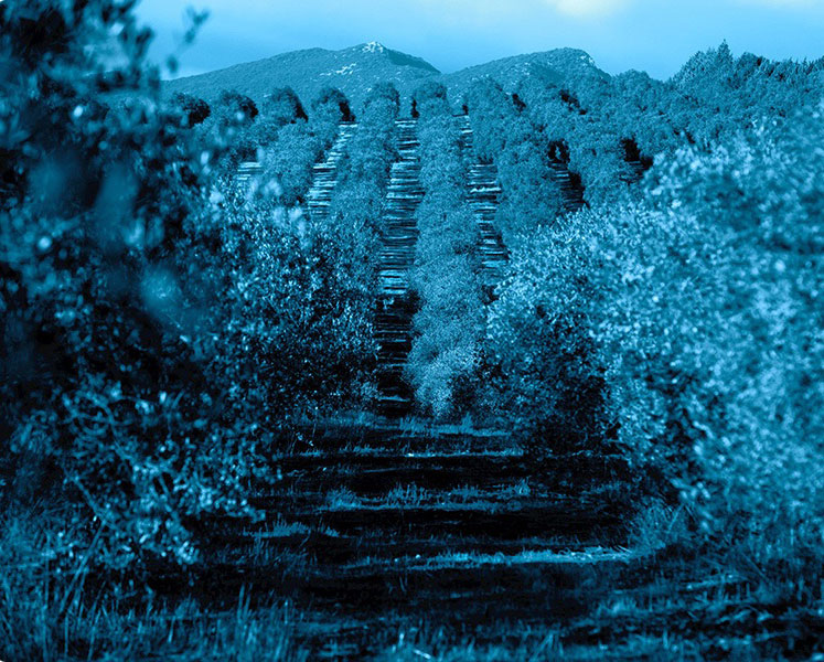 Sardinia