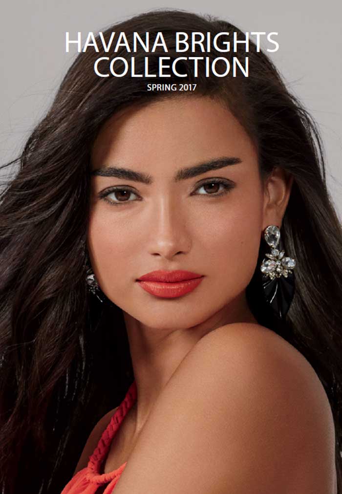 bobbi-brown-havana-brights-visual