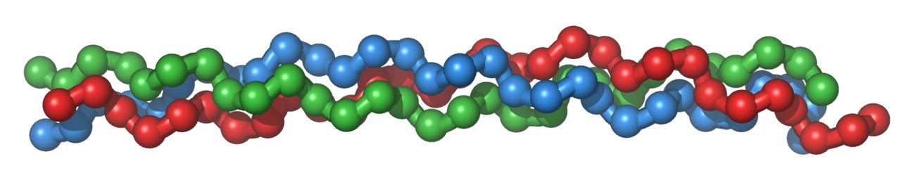 collagen
