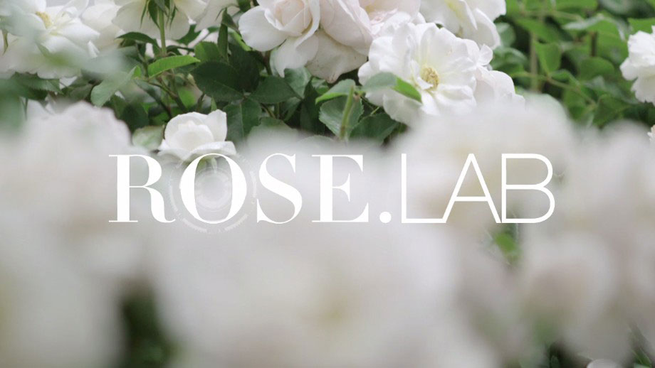 dior-rose-lab