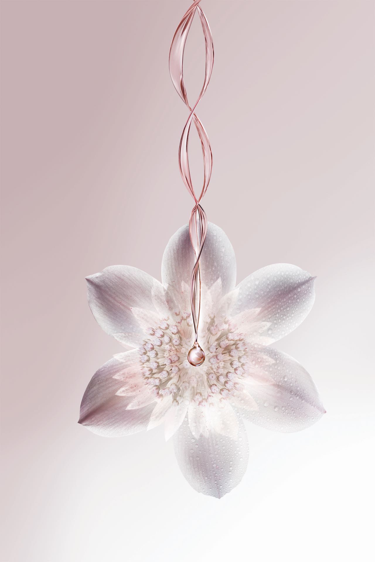 estee lauder floralixir dew
