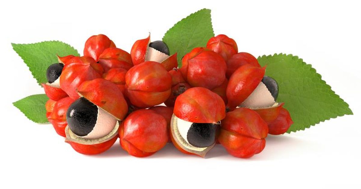 guarana