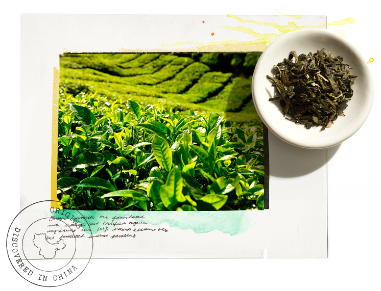 matcha ingredient