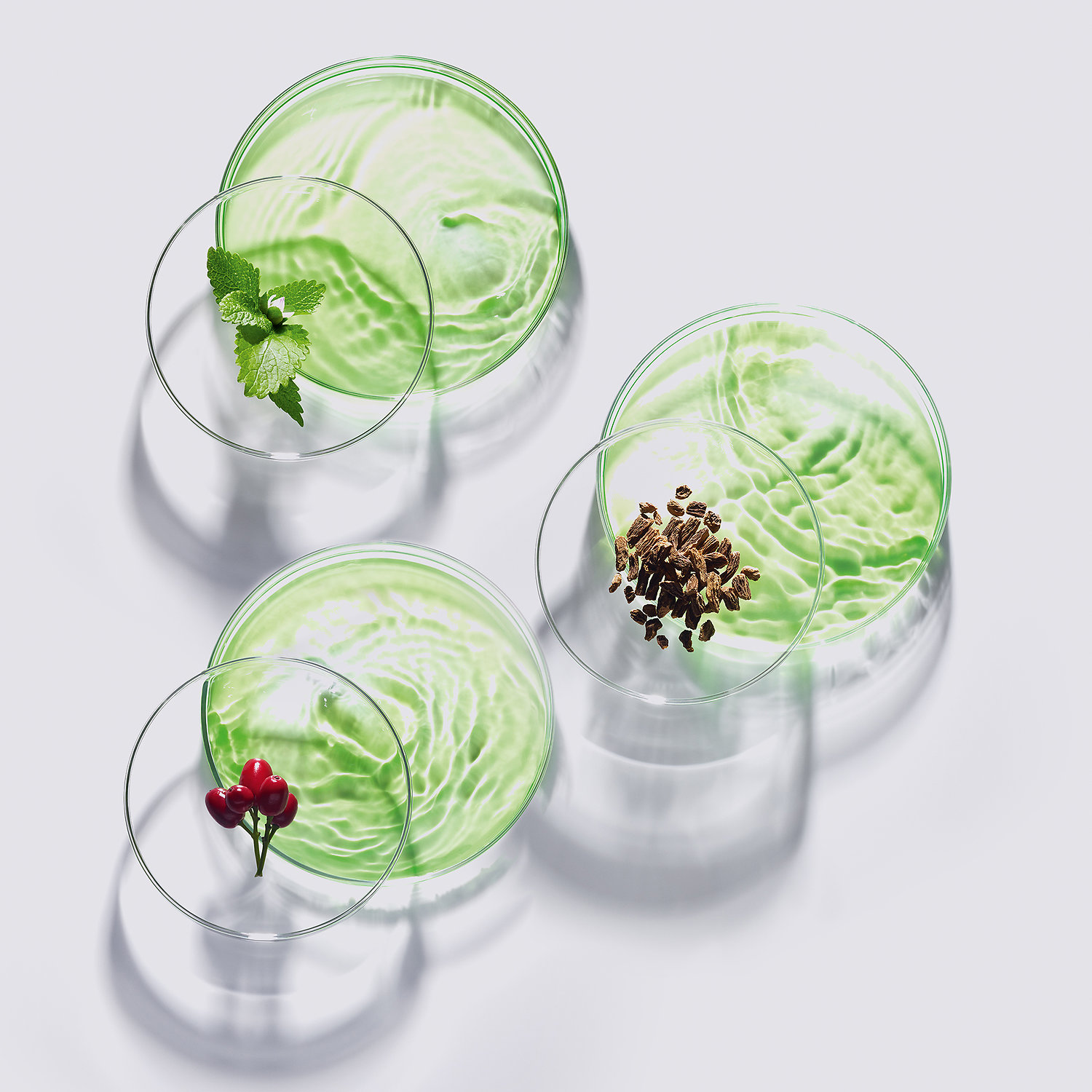 Lanc&ocirc;me &Eacute;nergie de Vie Collection