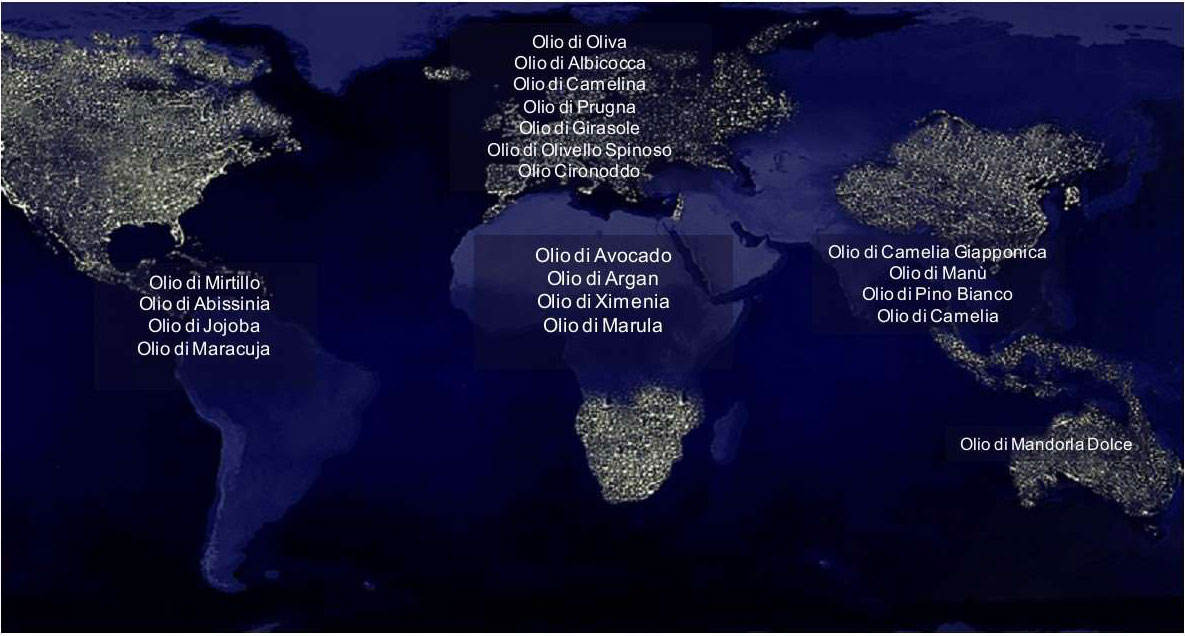 the-imperial-oil-map-of-oils